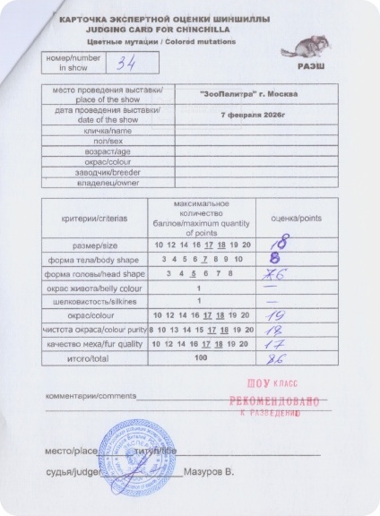 Карточка экспертной оценки шиншиллы